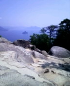 mb_0831175032.JPG 144��176 8K